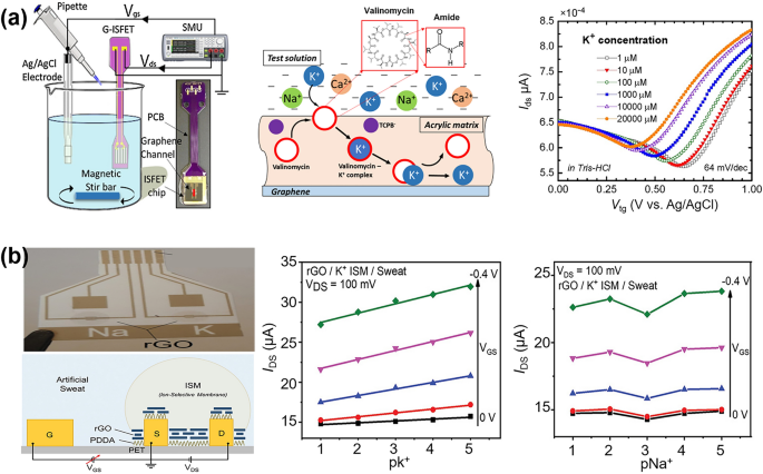 Flexible Graphene Field-Effect Transistors and Their Application 