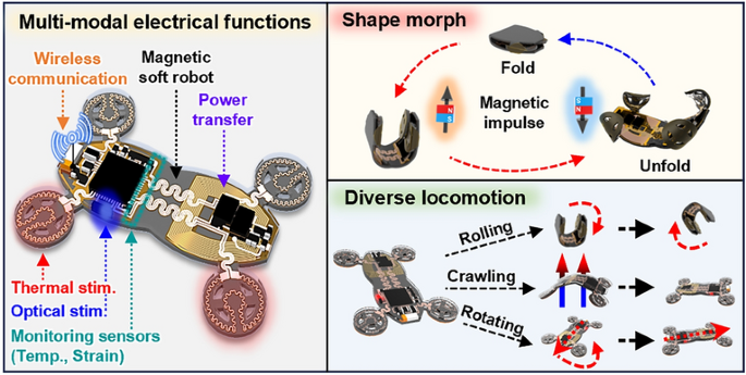 小型ソフトロボットが救命用途に期待（Tiny, Soft Robot Flexes Its Potential as a Life Saver）