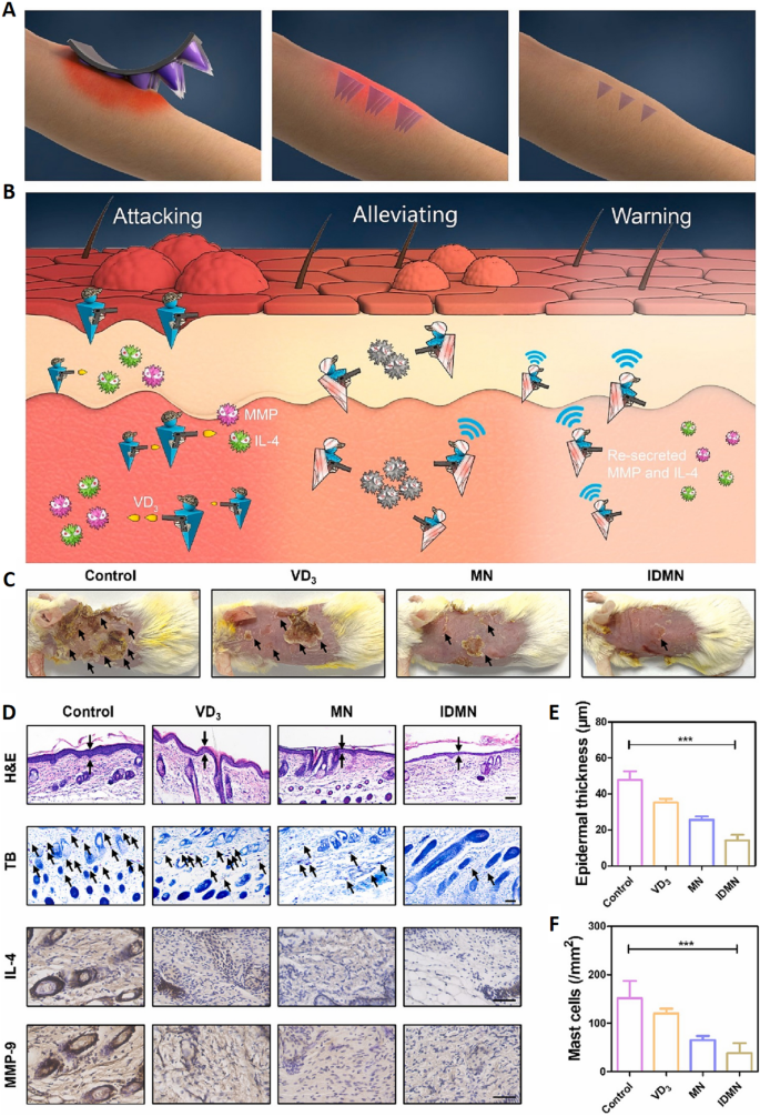 Skin Portfolio Rescue: Revive Your Radiance with Simple Hacks