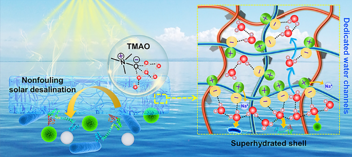 Superhydrated Zwitterionic Hydrogel with Dedicated Water Channels ...