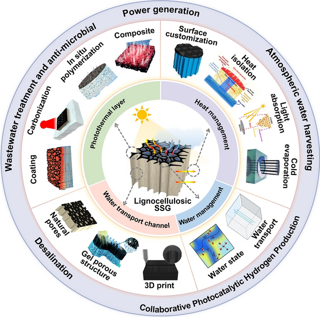 Engineering Renewable Lignocellulosic Biomass as Sustainable Solar ...