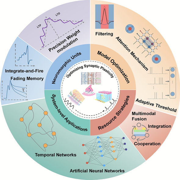 Synaptic Plasticity Engineering for Neural Precision, Temporal Learning ...