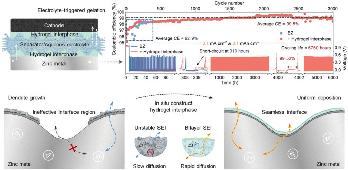 Stabilizing the Anode and Cathode Interface Synchronously via ...