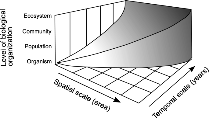 https://media.springernature.com/lw685/springer-static/image/art%3A10.1007%2Fs40823-019-00047-3/MediaObjects/40823_2019_47_Fig1_HTML.png