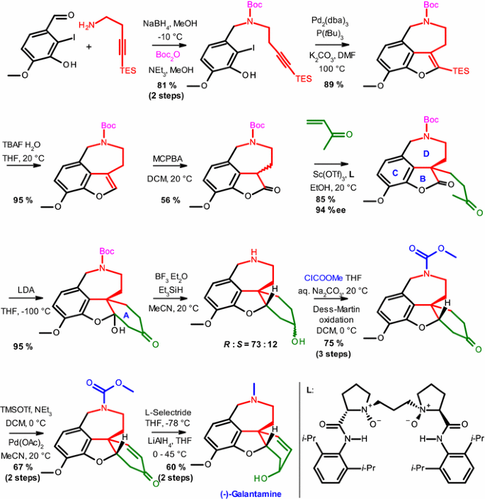 Galantamine Springerlink