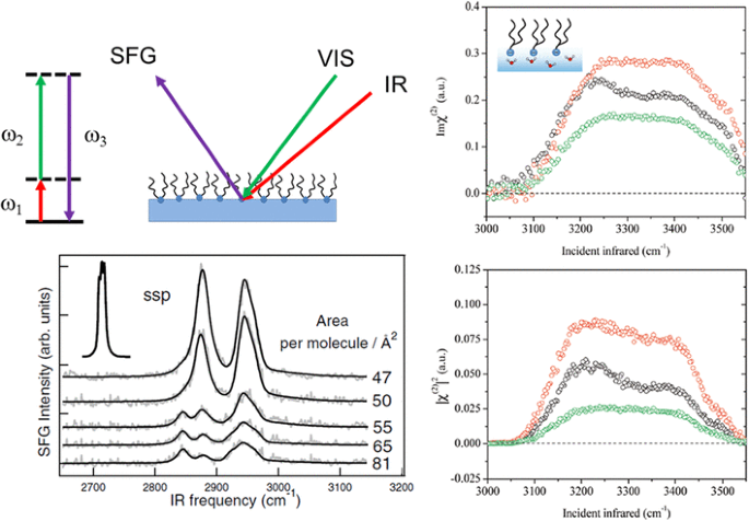 Lipids At The Air Water Interface Springerlink
