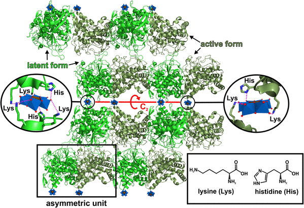 figure 20