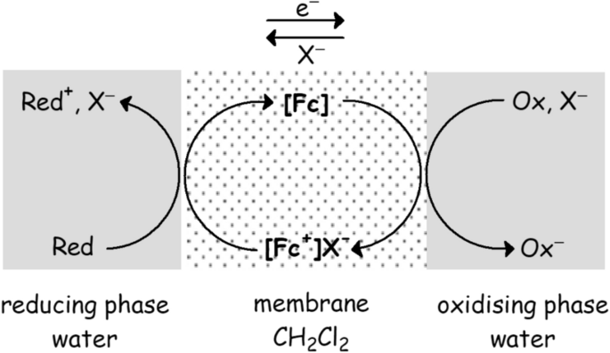 figure 24