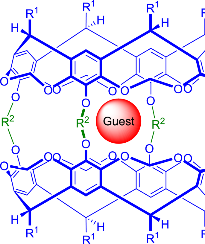 Cavitands: structure, recognition, and function in supramolecular ...