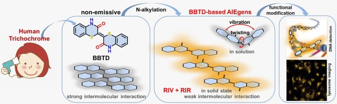 Exploration Of Biocompatible Aiegens From Human Trichochrome Springerlink