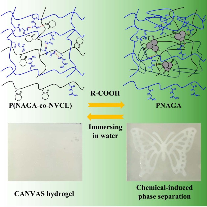 A kaleidoscopic hydrogel canvas for information encoding, encryption ...