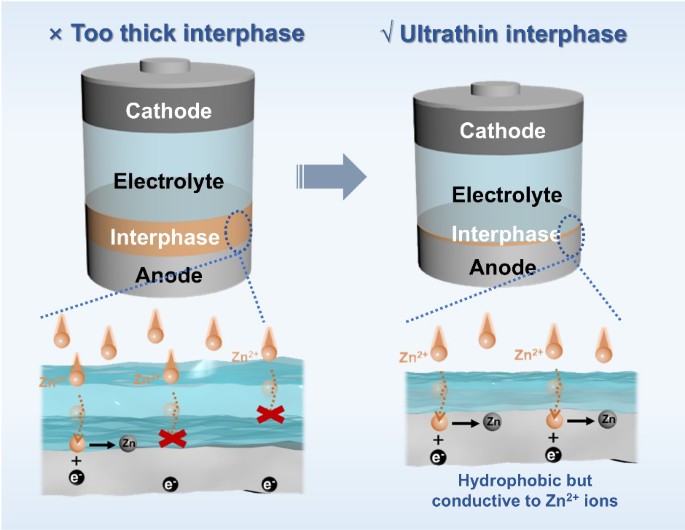 Ultrathin hydrophobic anode/electrolyte interphase for stable zinc ...