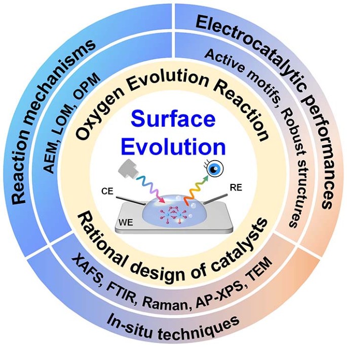 Identifying the surface dynamic evolution of electrocatalysts during ...