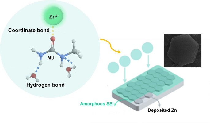 Solvation regulation with Janus solvates for sustainable aqueous Zn ion ...
