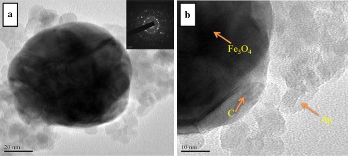 Multienzymatic Cholesterol Nanobiosensor Using Core–Shell ...