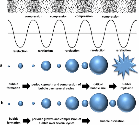 Primary effects of ultrasound: cavitation and heating.