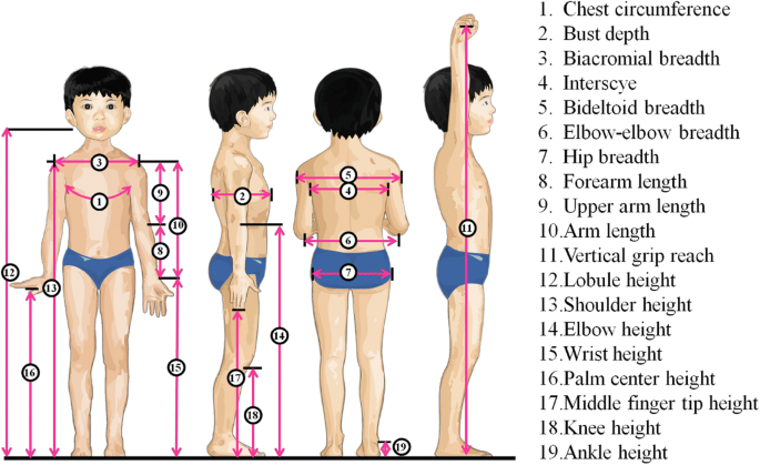 Page chest. Chest circumference. Hip circumference рисунок. Measure children's Chest circumference. Chest circumference: ￼ cm￼ Set.