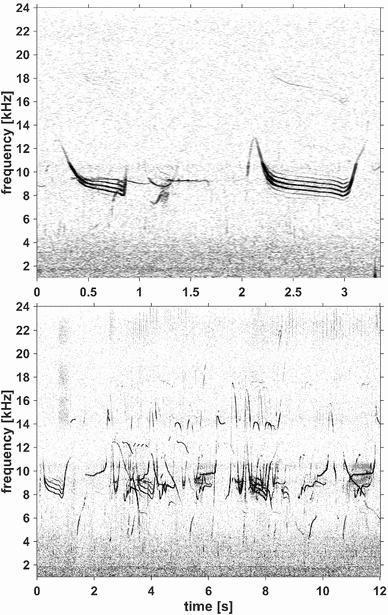 figure 24