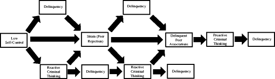 Low Self Control Peer Rejection Reactive Criminal Thinking And Delinquent Peer Associations Connecting The Pieces Of The Crime Puzzle Springerlink