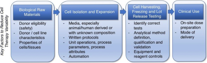 Identifying And Managing Sources Of Variability In Cell Therapy Manufacturing And Clinical Trials Springerlink