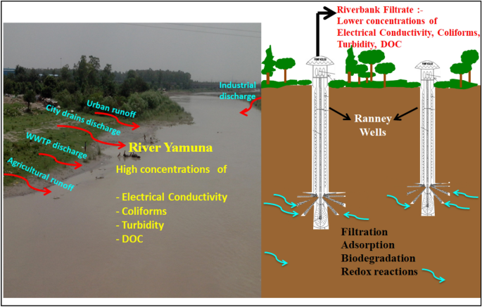 make a presentation on pollution of yamuna river pdf