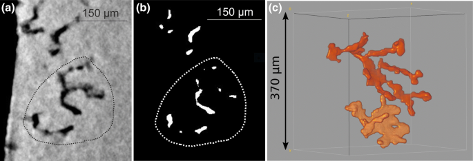 figure 27