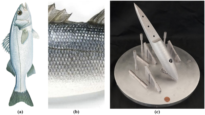 Feasibility of using bio-mimicking fish scale textures in LPBF for