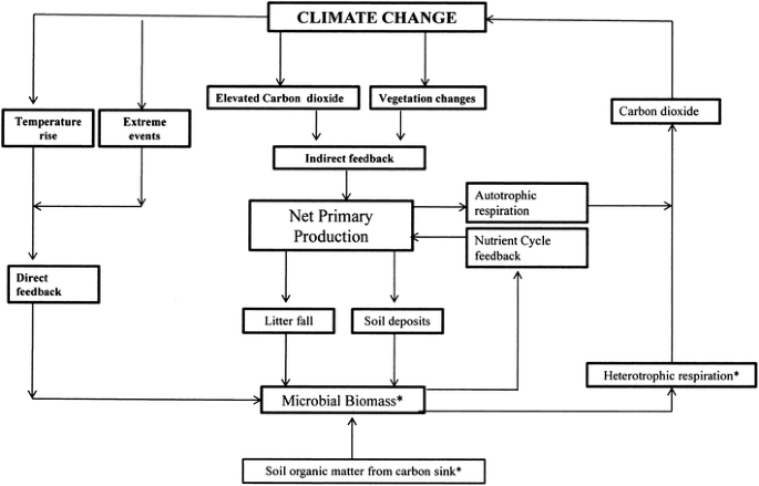 The Microbial Aspect Of Climate Change Springerlink