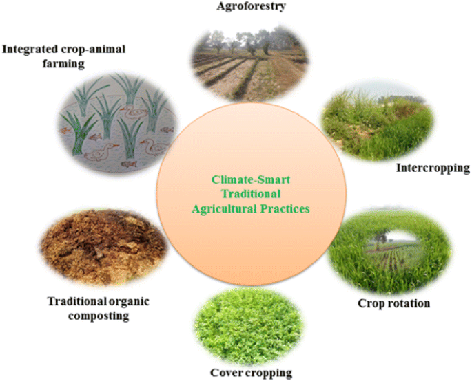 Traditional agriculture: a climate-smart approach for sustainable food production | SpringerLink