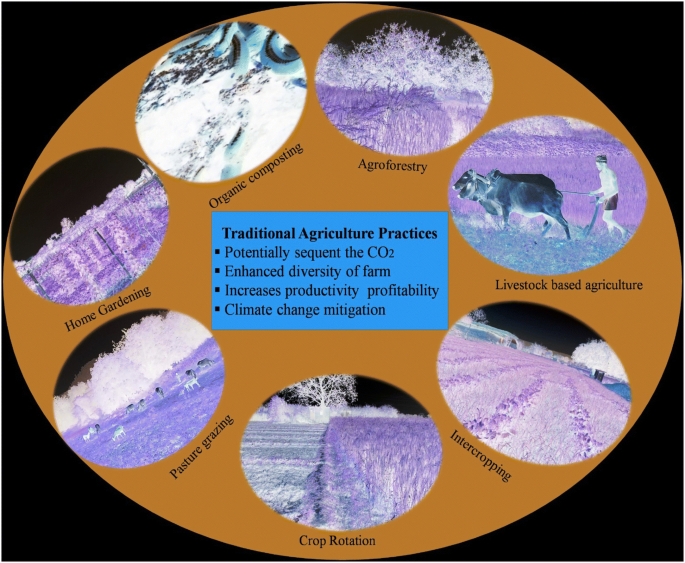 agriculture methods in india