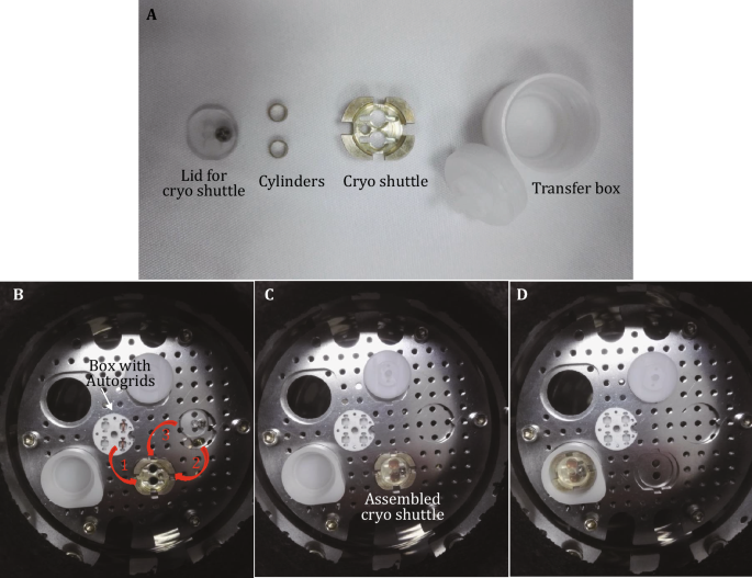 Autogrid Rings and C-clips