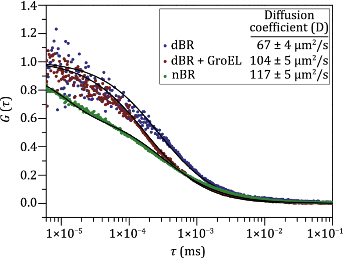 figure4<p> GroEL不在または存在下で変性BRをネイティブBRと比較してFCS測定した。 可溶化洗剤の非存在下でSDS変性BR単独または過剰のGroELを用いた場合、またはDDMで可溶化したネイティブBRのAlexa Fluor 488蛍光の蛍光自己相関振幅G（τ）を示した。 拡散係数（D）は、式（1）を用いて自己相関曲線をフィッティングすることにより求めた。 標準偏差は、3つの独立した測定値からのものである</p></div> </figure></div> <h3>Membrane insertion of BR mediated by GroEL-GroES</h3> <p> GroEL-GroES が二重層へのBRの統合を支援するかどうか、あるいはどのように支援するかを決定するために、逆さ細胞質膜小胞 (IMVs) が Escherichia.X から調製された。 coli 細胞から逆細胞質膜小胞を調製し、apoGroEL の存在下および非存在下、あるいは ATP/GroES を添加して変性 BR と混合した (図 5A)。 ApoGroEL は、UV-Vis 分光法（黒と赤）で測定したところ、IMV において正しく折りたたまれた BR の回復に取るに足らない変化を引き起こした（図 5A）。 DDM ミセルのリフォールディングとは異なり、GroEL と ATP の添加は膜挿入に不利であること（青）、一方 GroEL と GroES の組み合わせはこのプロセスを促進すること（シアン）が示された。 この再現性のある差の真の理由は不明であるが、IMV の剛性、ATP や GroES の結合によって引き起こされる GroEL 結合 BR の構造変化などが考えられる。 具体的には、GroELがATPを結合すると、シャペロニンの空洞への開口部が拡大することが知られている（Skjaerven et al.2015）。 この変化は、単にGroESがGroELに結合した場合よりも顕著であり（Kim et al. 2005）、したがって、結合した基質のアンフォールディングを可能にし（Lin et al. しかし、DDMミセルとは異なり、IMVはアンフォールディングしたBRを速やかに保護し、フォールディングに有利な微小環境を適時に提供することはできなかったと思われる。 これに対し、ATP 非存在下での GroES と GroEL の弱い結合は、準備した IMV に BR をより効率的に輸送する可能性がある。 しかし、DDMミセルにおけるリフォールディングと同様に、完全なGroEL-GroES系はBRの膜挿入（緑）を大幅に促進し、回収されたBRの量は先の2つの事例の中間に位置し、速やかに定常状態に達した</p> <div><figure><figcaption> 図5</figcaption><div><img src=