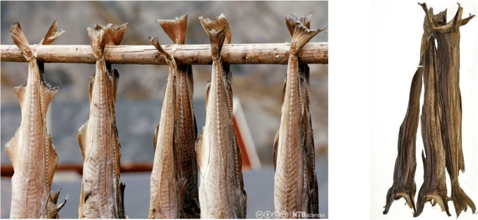 Stockfish Production, Cultural and Culinary Values