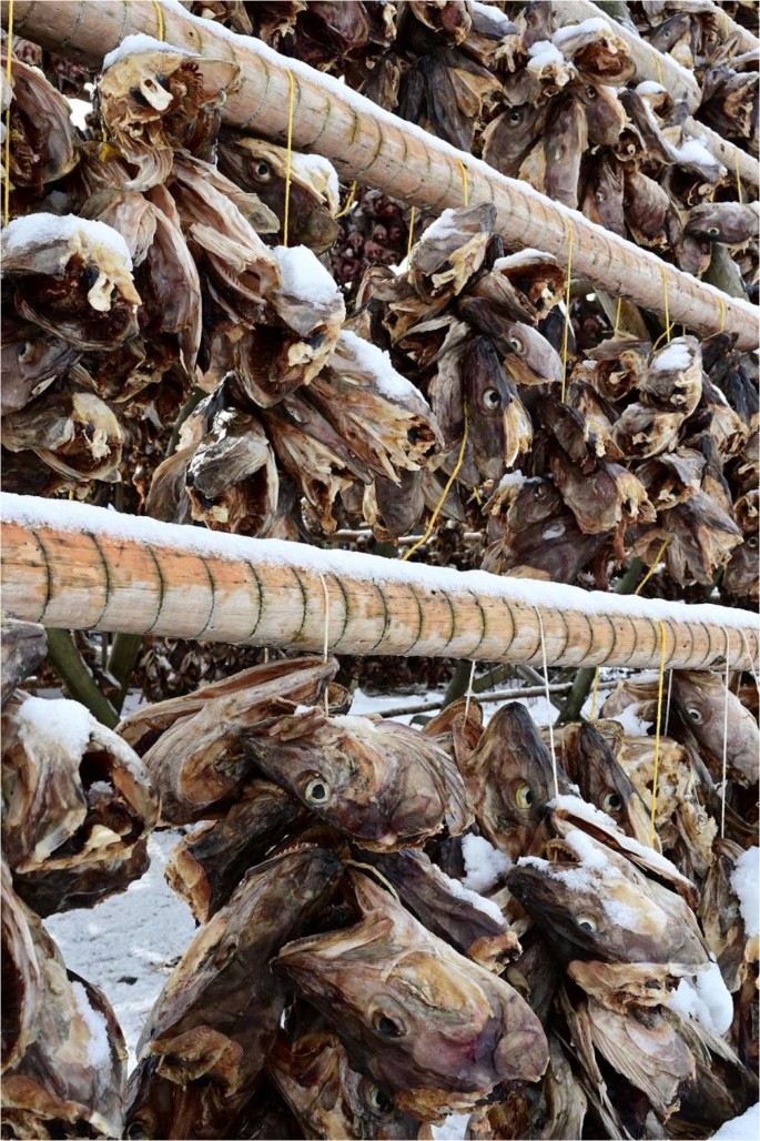 Many dried fish called stockfish for sale at european market Stock