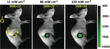 figure 15