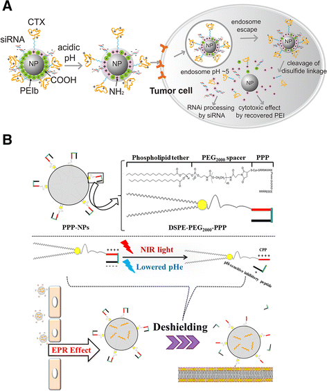 figure 24