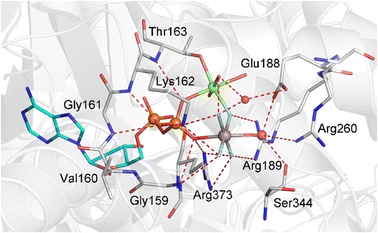 figure 20