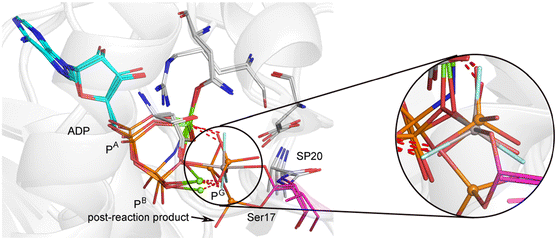 figure 21