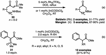 scheme 25