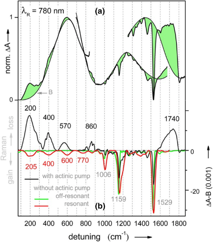 Multidimensional Vibrational Coherence Spectroscopy Springerlink