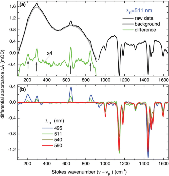 Multidimensional Vibrational Coherence Spectroscopy Springerlink