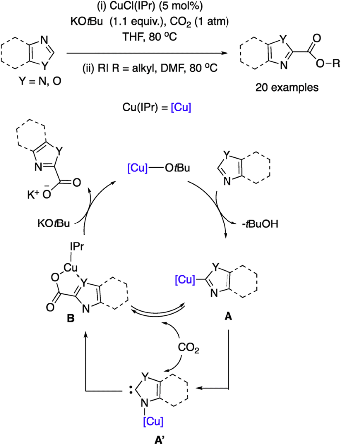 Retracted Article Mononuclear Cu Complexes Based On Nitrogen Heterocyclic Carbene A Comprehensive Review Springerlink