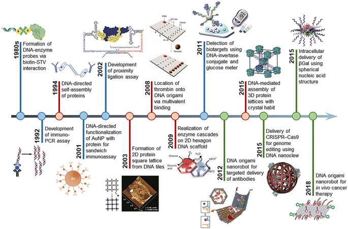 Engineering Functional Dna Protein Conjugates For Biosensing Biomedical And Nanoassembly Applications Springerlink