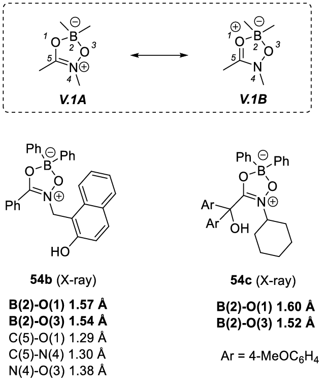 Merging Boron With Nitrogen Oxygen Bonds A Review On Bon Heterocycles Springerlink