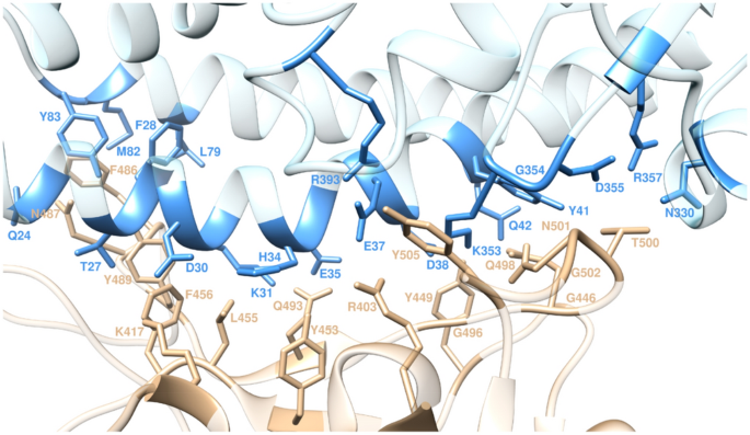 figure 15