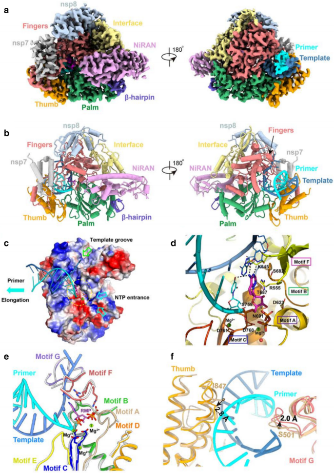 figure 23