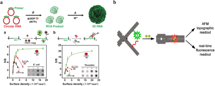 rca dna nanostructure