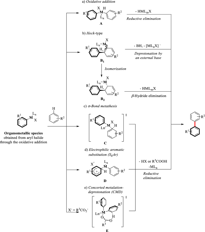Construction Of Biologically Important Biaryl Scaffolds Through Direct C H Bond Activation Advances And Prospects Springerlink