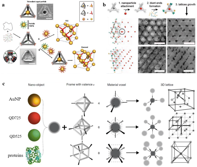 nanoparticles by dna shapes