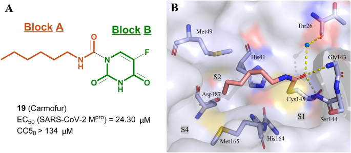 figure 14